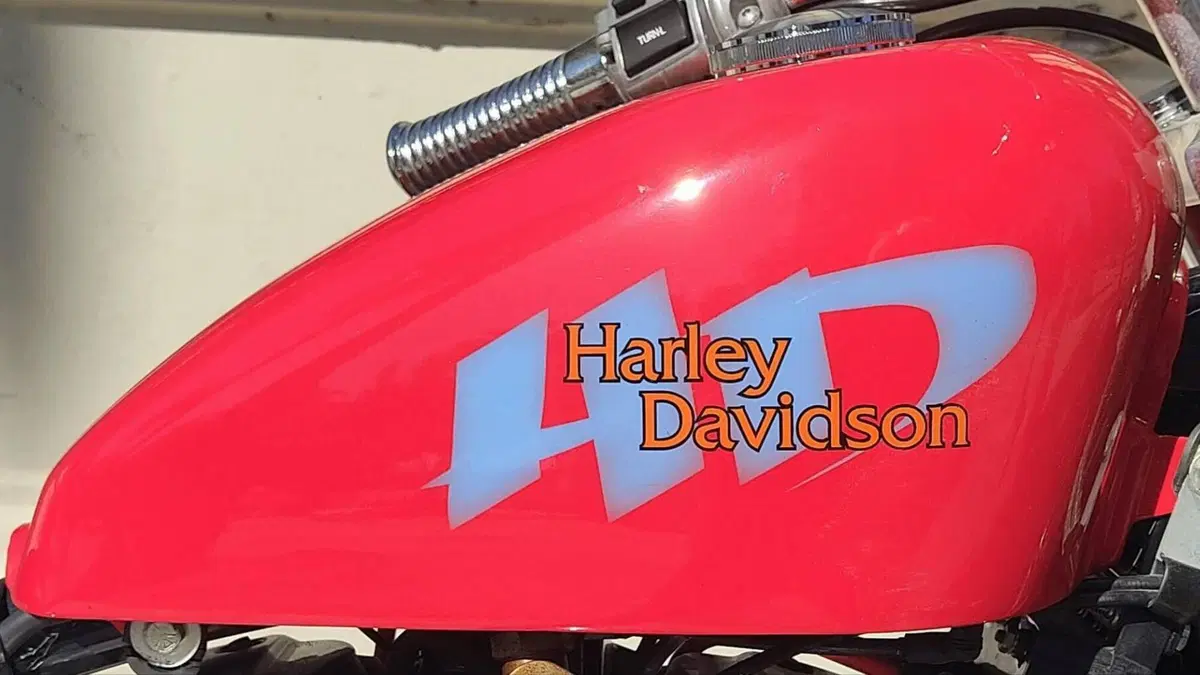 Harley-Davidson 883 Standard (1994 - 00) - XLH  (2)
