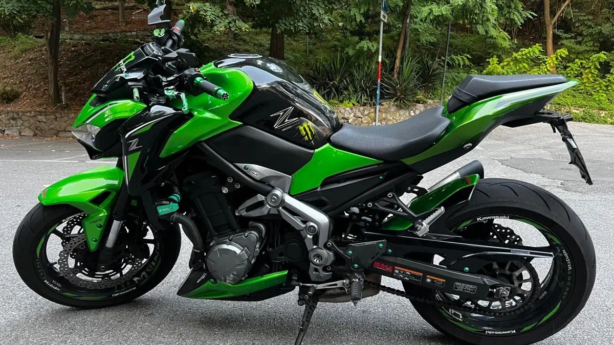 Kawasaki Z 900 (2017 - 18)  (3)