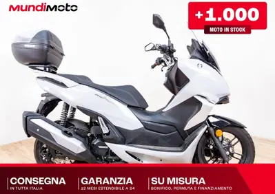 QJ Motor MTX 300 (2025 - 26) - Annuncio 10099743