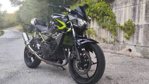 Kawasaki Z 400 (2019 - 20) 