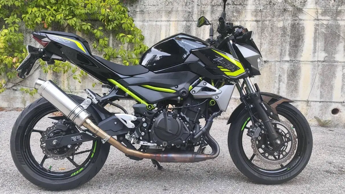 Kawasaki Z 400 (2019 - 20)  (2)