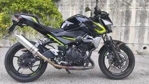 Kawasaki Z 400 (2019 - 20)  (2)