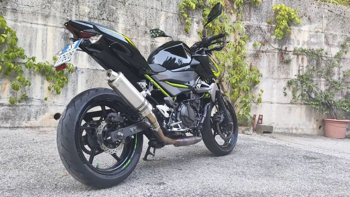 Kawasaki Z 400 (2019 - 20)  (3)