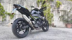 Kawasaki Z 400 (2019 - 20)  (3)
