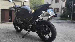 Kawasaki Z 400 (2019 - 20)  (4)