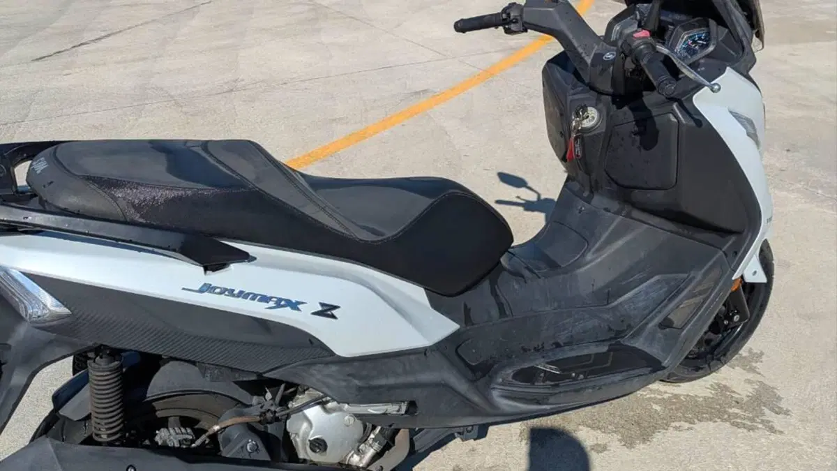 Sym Joymax 300 Z+ (2021 - 24)  (8)