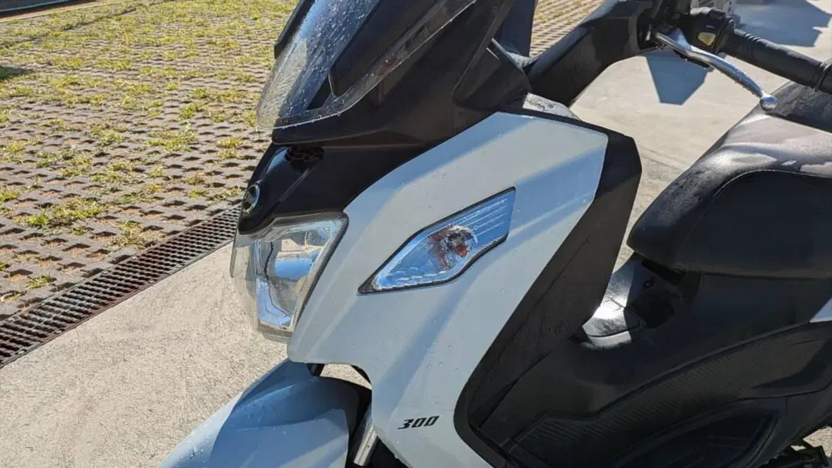 Sym Joymax 300 Z+ (2021 - 24)  (13)
