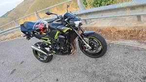 Kawasaki Z 900 (2021 - 24)  (3)