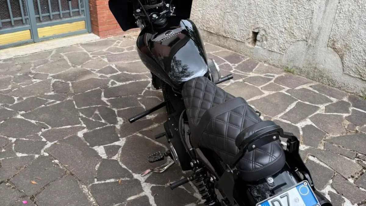 Harley-Davidson 883 Iron (2012 - 14) - XL 883N  (3)