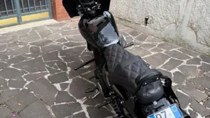 Harley-Davidson 883 Iron (2012 - 14) - XL 883N  (3)