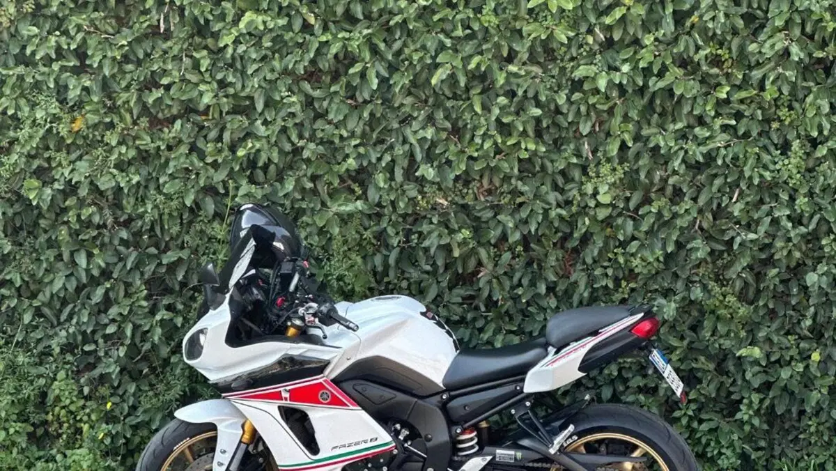 Yamaha FZ8 (2013 - 16)  (9)