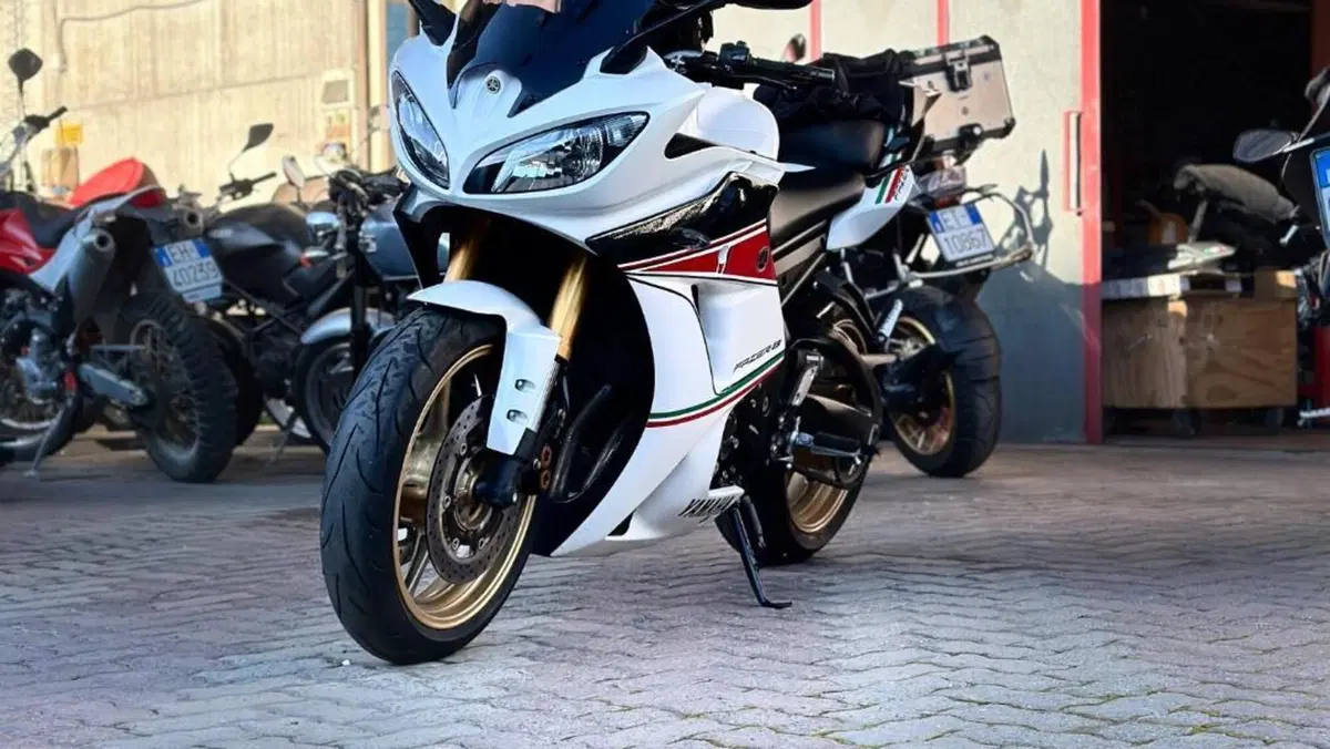 Yamaha FZ8 (2013 - 16)  (12)