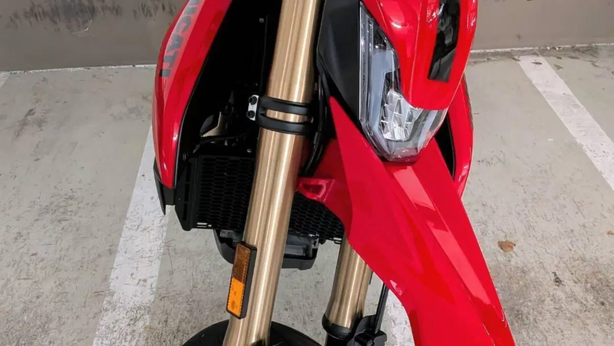 Ducati Hypermotard 698 Mono (2024 - 26)  (18)
