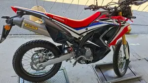 Honda CRF 250 Rally (2017 - 20)  (3)