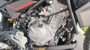 Moto Morini Allthrike 450 (2025 - 26)  (10)