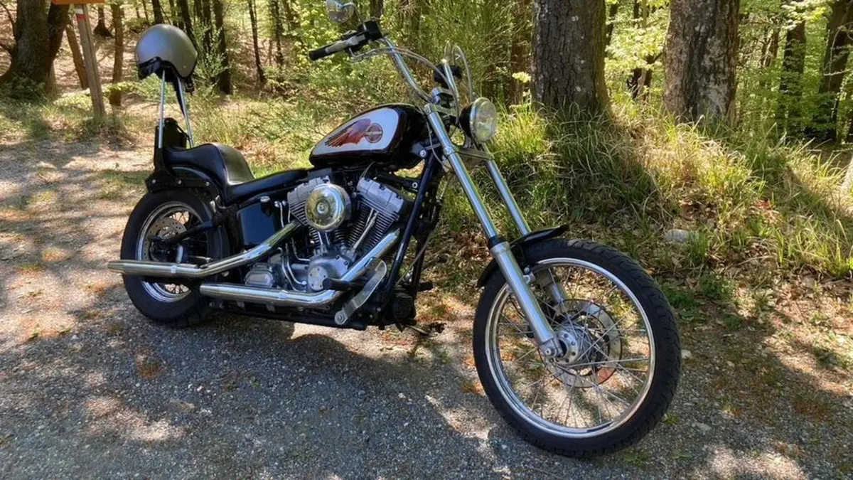 Harley-Davidson 1450 Standard (2002 - 05) - FXSTI  (2)