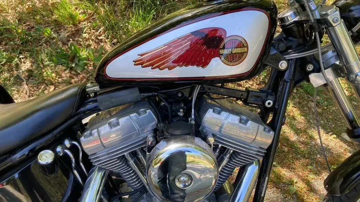 Harley-Davidson 1450 Standard (2002 - 05) - FXSTI  (4)
