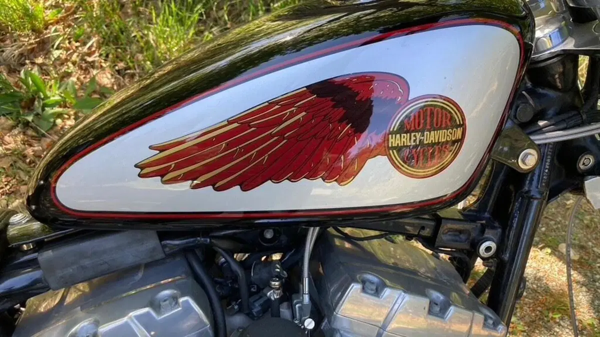 Harley-Davidson 1450 Standard (2002 - 05) - FXSTI  (5)