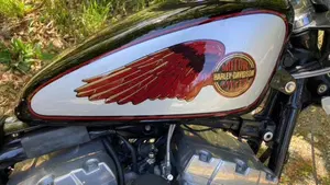 Harley-Davidson 1450 Standard (2002 - 05) - FXSTI  (5)