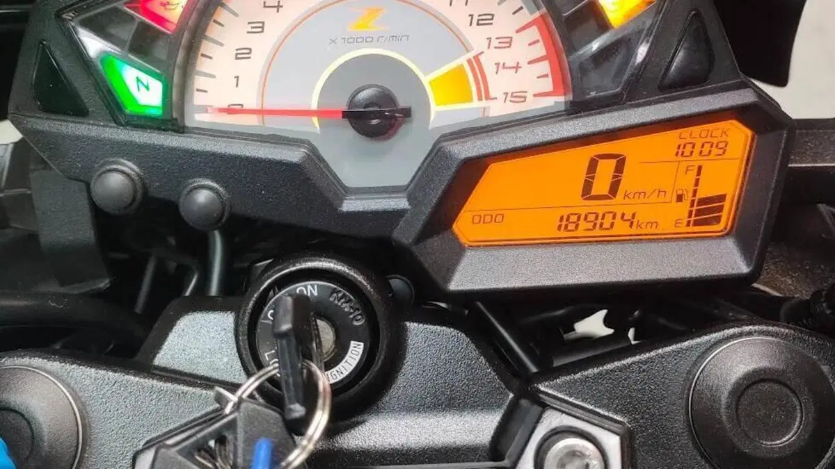 Kawasaki Z 300 ABS (2015 - 16)  (4)