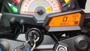 Kawasaki Z 300 ABS (2015 - 16)  (4)