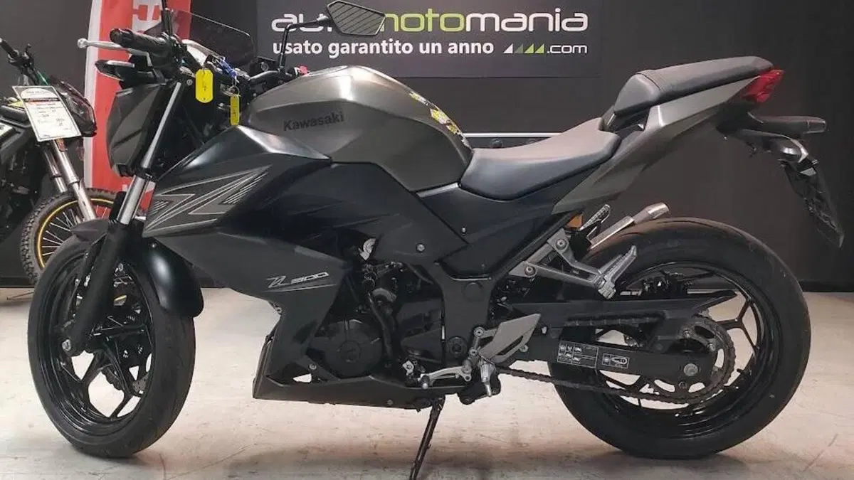 Kawasaki Z 300 ABS (2015 - 16) 