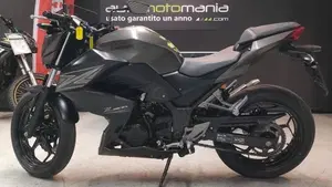 Kawasaki Z 300 ABS (2015 - 16) 