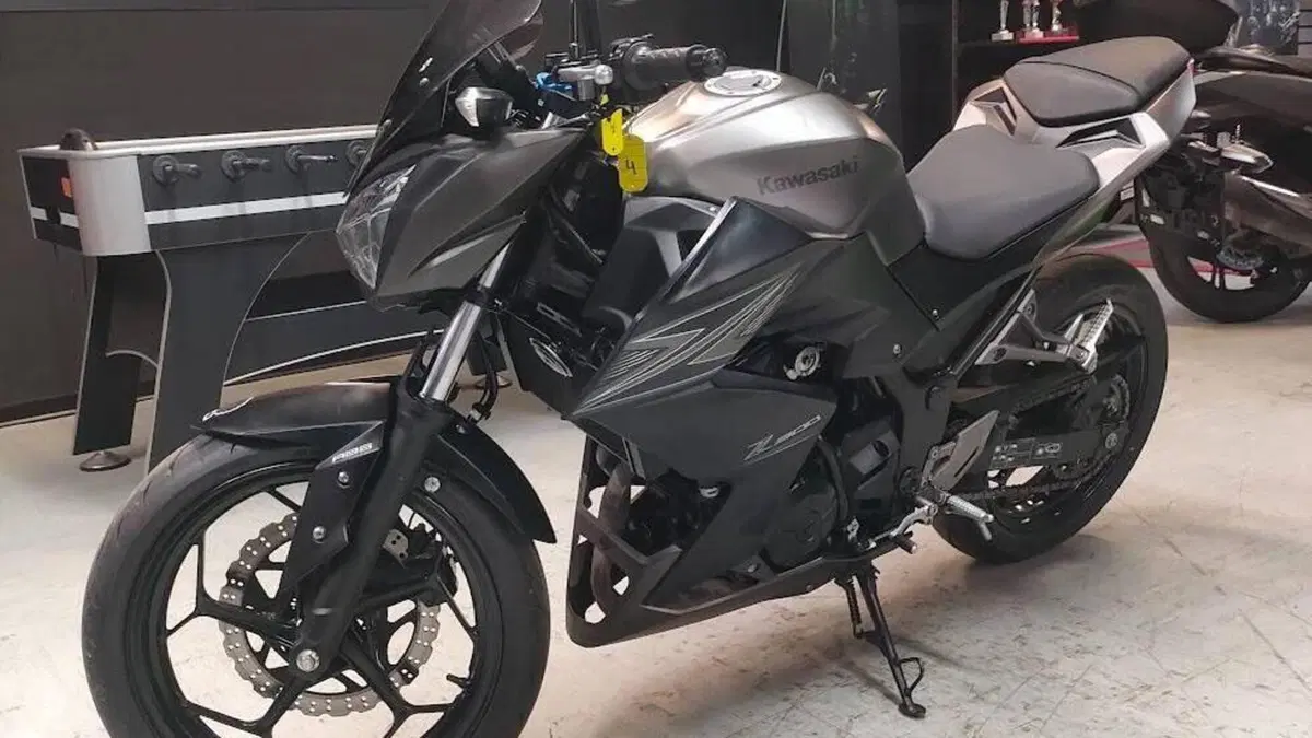 Kawasaki Z 300 ABS (2015 - 16)  (2)