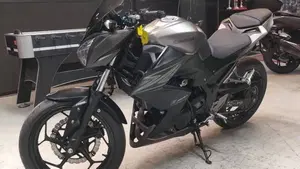 Kawasaki Z 300 ABS (2015 - 16)  (2)
