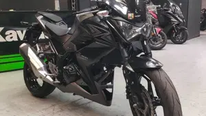 Kawasaki Z 300 ABS (2015 - 16)  (3)