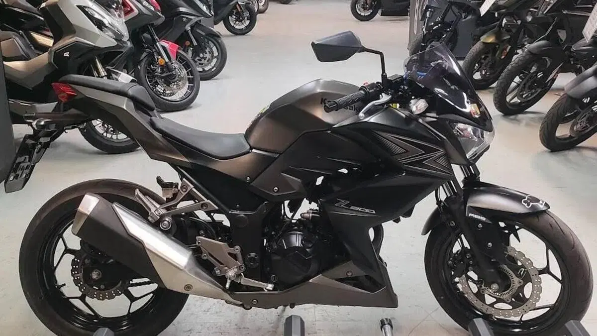 Kawasaki Z 300 ABS (2015 - 16)  (5)