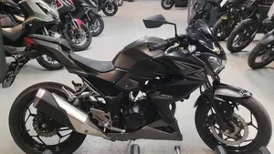 Kawasaki Z 300 ABS (2015 - 16)  (5)