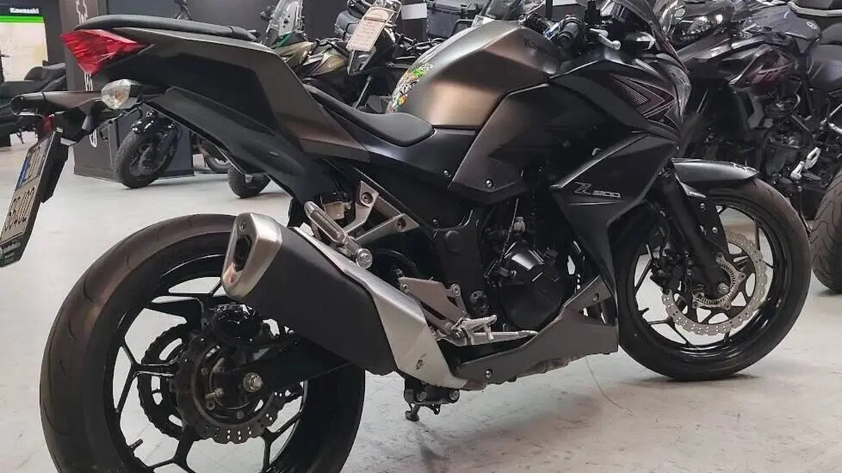Kawasaki Z 300 ABS (2015 - 16)  (6)