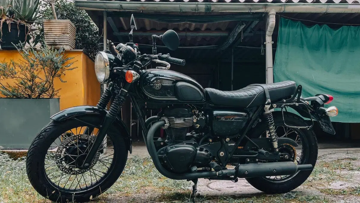 Kawasaki W 800 (2010 - 17)  (4)