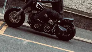 Harley-Davidson 1340 Heritage Special (1993 - 96)  (3)