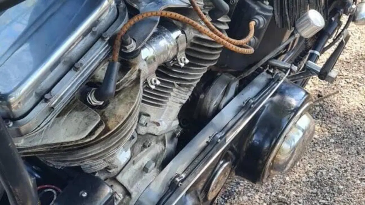 Harley-Davidson   (4)