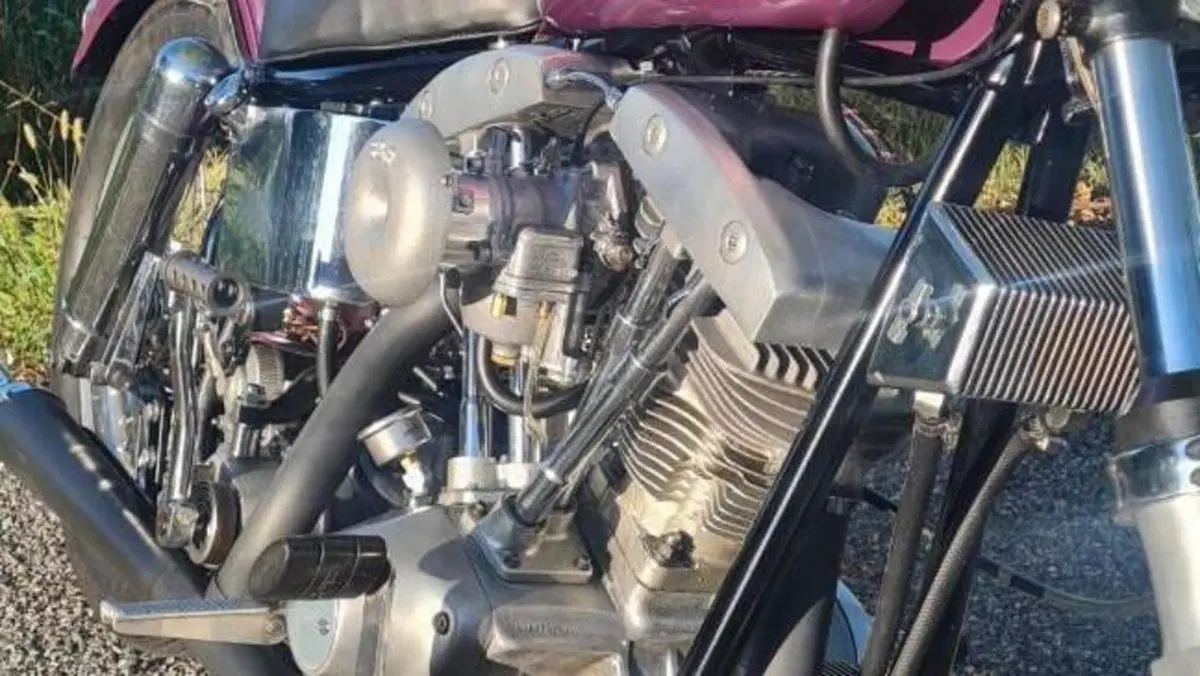 Harley-Davidson   (2)