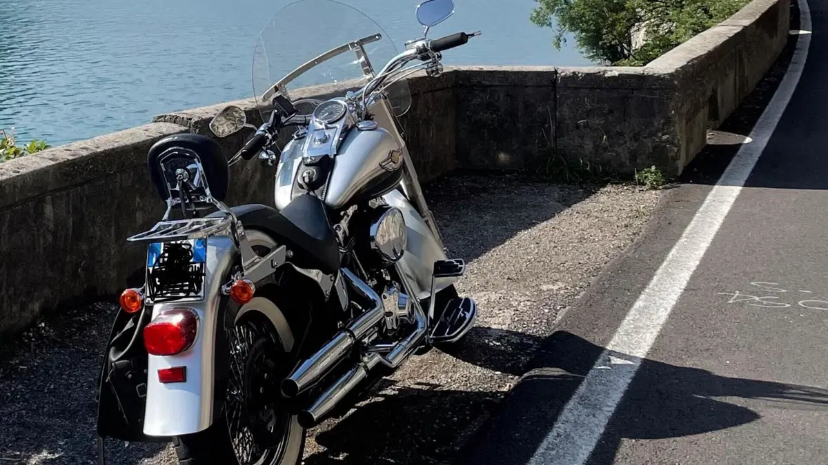 Harley-Davidson 1450 Fat Boy (2003 - 06) - FLSTFI  (2)