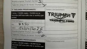 Triumph Speed 400 (2024 - 26)  (8)