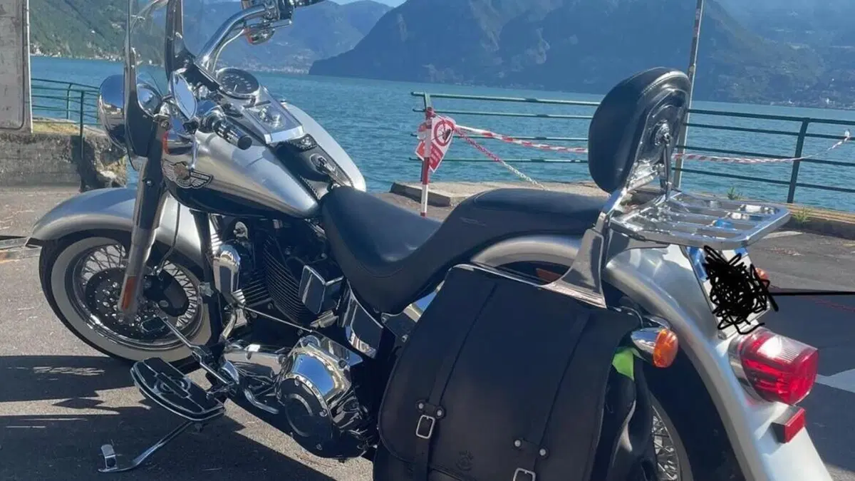 Harley-Davidson 1450 Fat Boy (2003 - 06) - FLSTFI  (3)