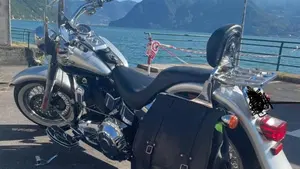 Harley-Davidson 1450 Fat Boy (2003 - 06) - FLSTFI  (3)