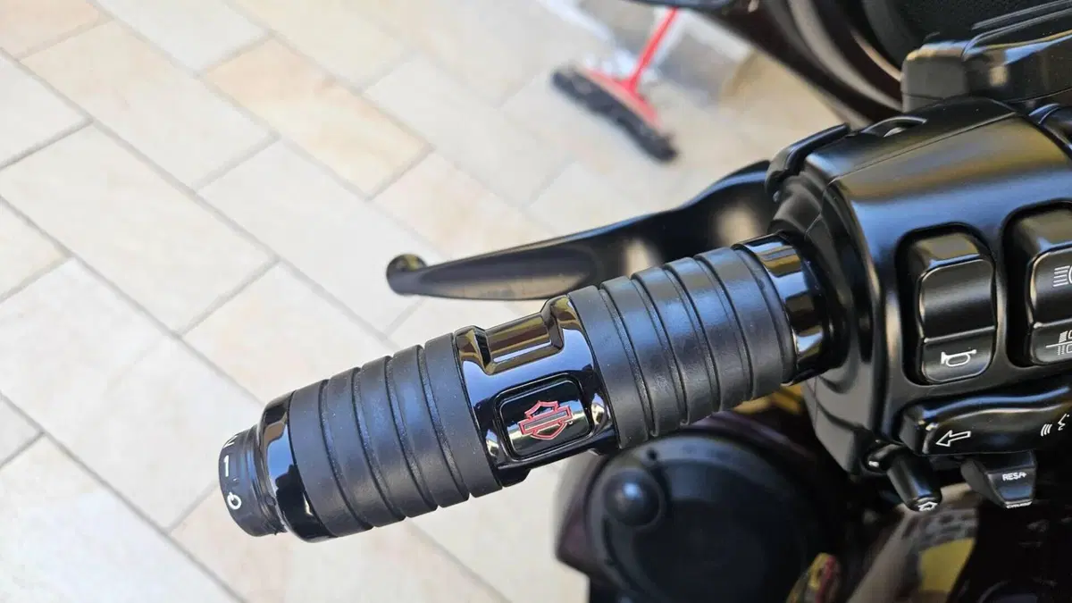 Harley-Davidson 117 Street Glide (2018 - 20) - FLHXSE  (4)