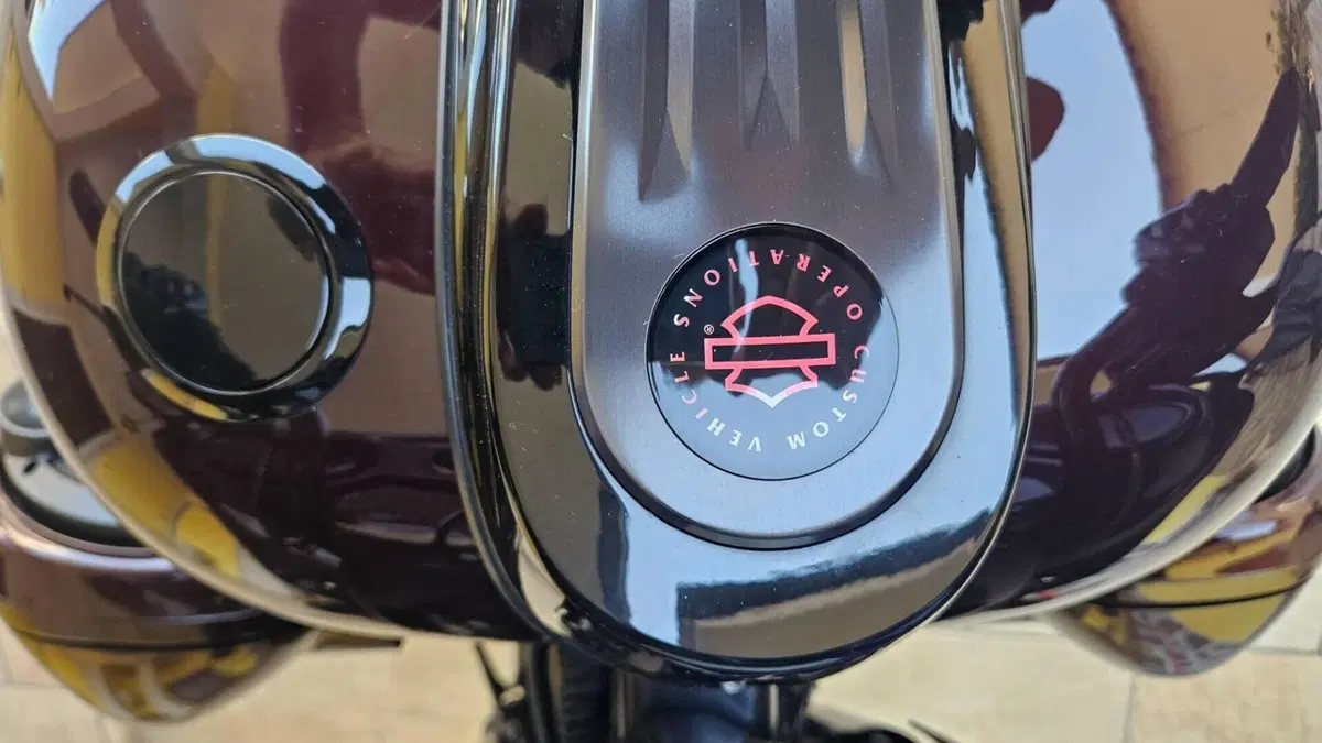 Harley-Davidson 117 Street Glide (2018 - 20) - FLHXSE  (9)