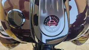 Harley-Davidson 117 Street Glide (2018 - 20) - FLHXSE  (9)