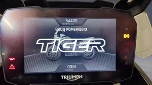 Triumph Tiger 900 GT Pro (2020 - 23)  (6)