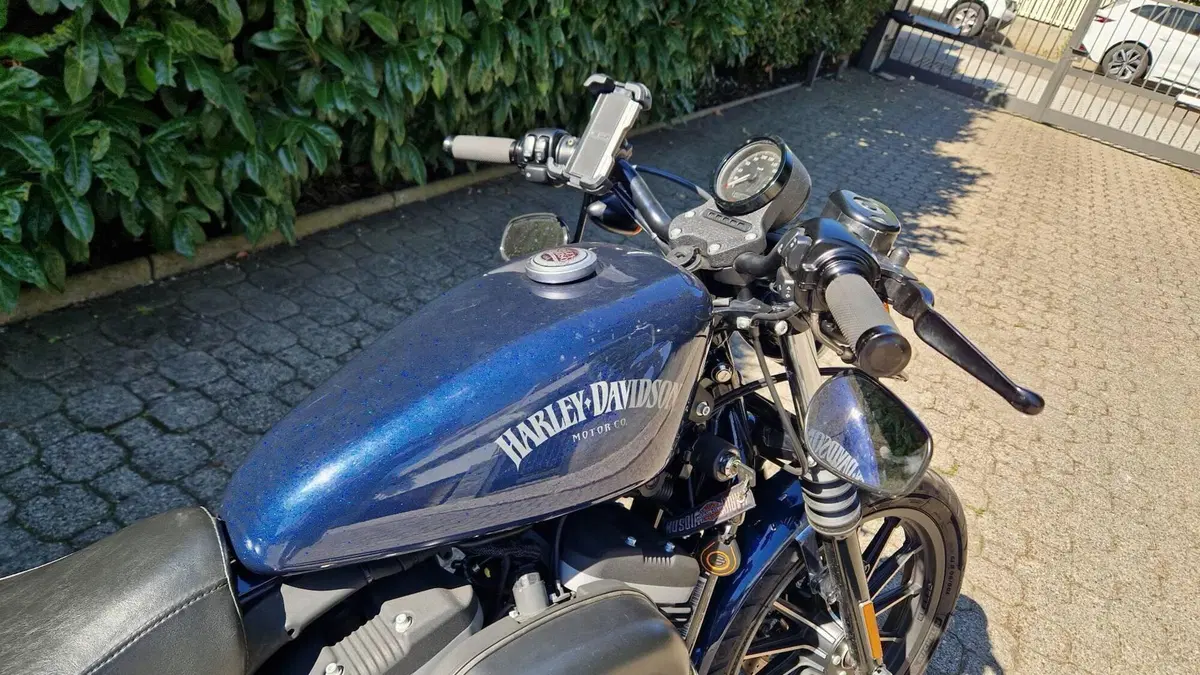 Harley-Davidson 883 Iron (2012 - 14) - XL 883N  (3)