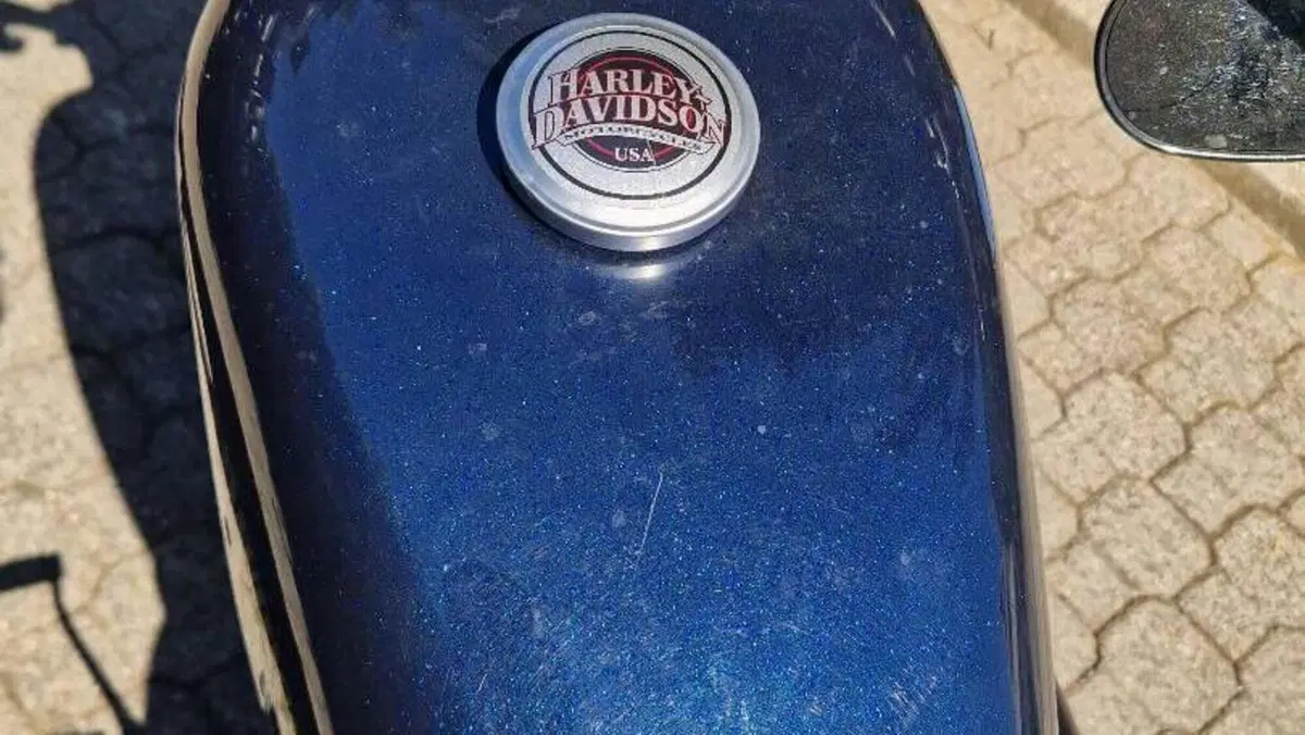 Harley-Davidson 883 Iron (2012 - 14) - XL 883N  (5)