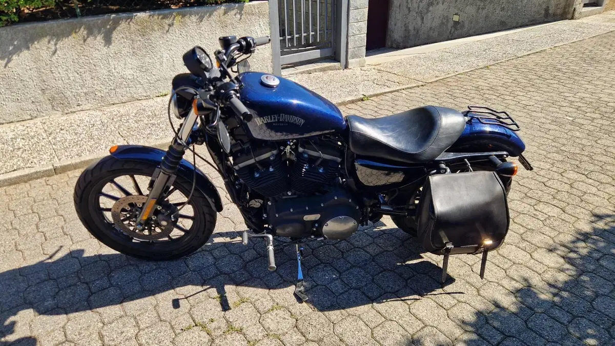 Harley-Davidson 883 Iron (2012 - 14) - XL 883N  (6)