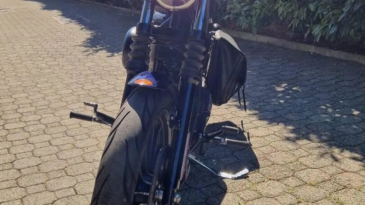 Harley-Davidson 883 Iron (2012 - 14) - XL 883N  (8)