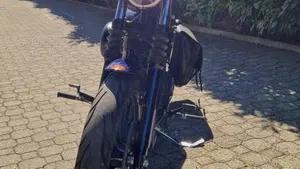 Harley-Davidson 883 Iron (2012 - 14) - XL 883N  (8)